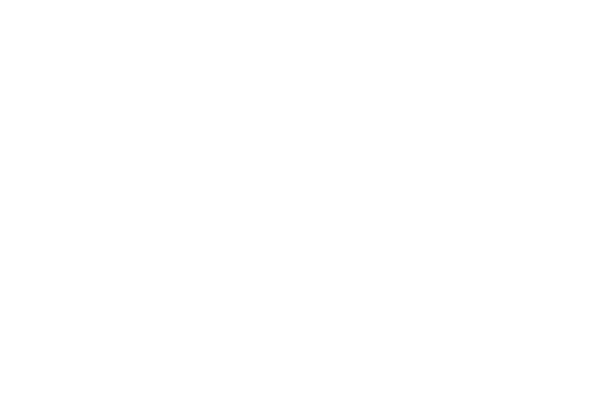 Thidesoft
